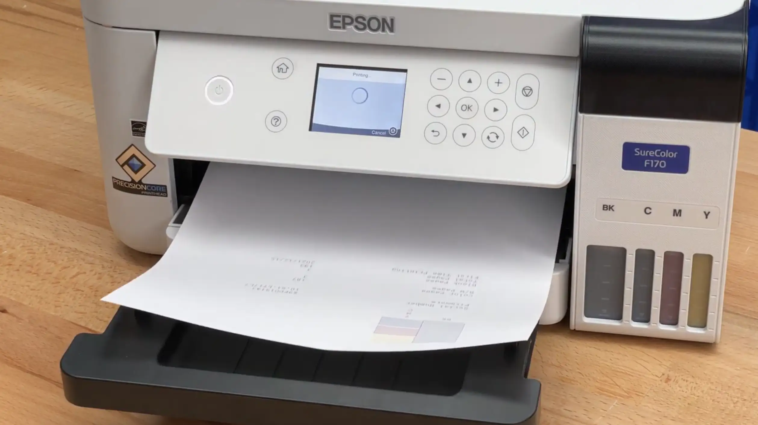 Printing a Nozzle Check on your Epson SureColor F170 Sublimation Printer